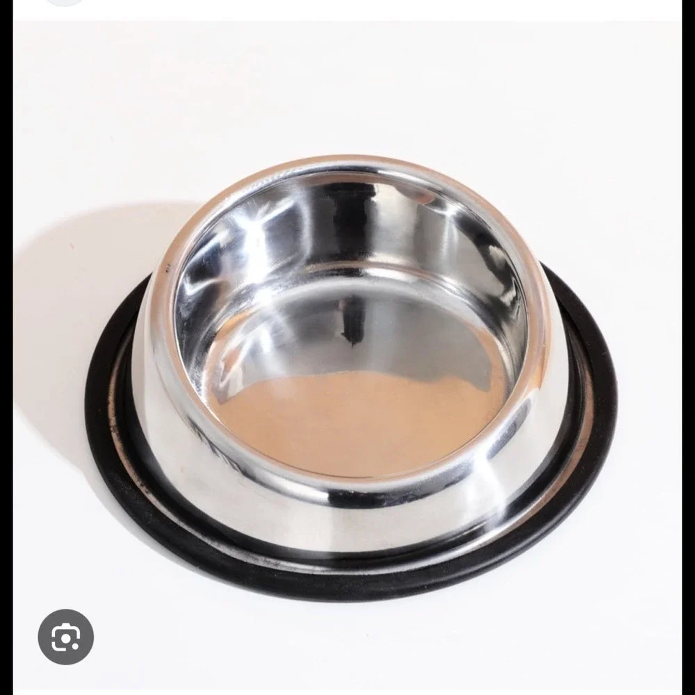 Stainless Steel Angled Pet Bowl with Non-Slip Base